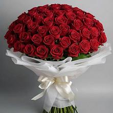 Букет 101 Красная роза Блэк Мэджик в Данилово