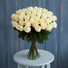 Букет 51 Белая роза Эдлесс Лав #REPLACE_PRED# Данилово