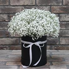 Цветочная композиция из Гипсофила в шляпной коробке в Данилово