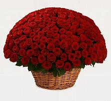 Премиум букет из: Розы в Данилово