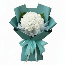 Букет цветов из:  Гортензия #REPLACE_PRED# Данилово